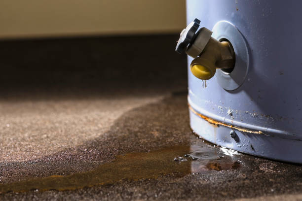 Best Flood damage cleanup  in Larchmont, NY