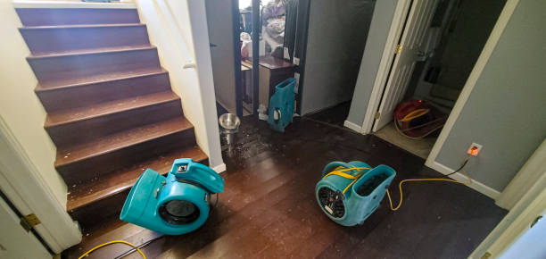 Best Mold removal after water damage  in Larchmont, NY