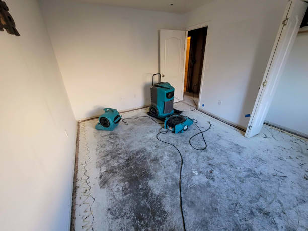Best Local water damage restoration  in Larchmont, NY
