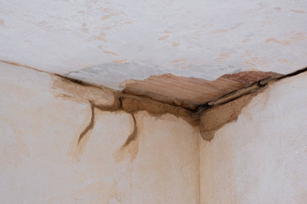 Best Carpet water damage restoration  in Larchmont, NY