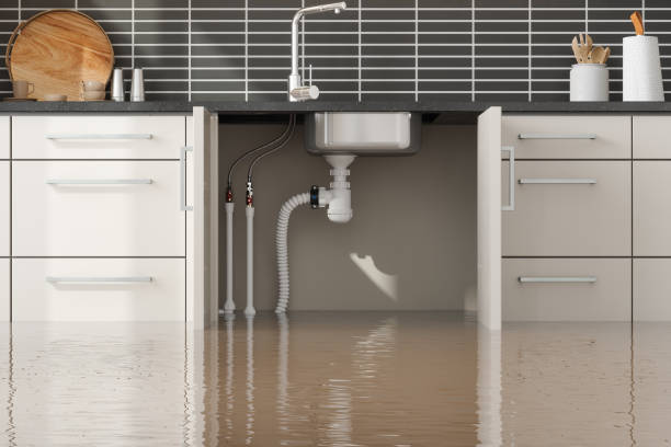 Best Water damage restoration near me  in Larchmont, NY