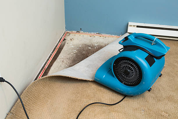 Water damage restoration experts in NY